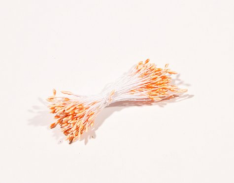Тычинки маленькие двусторонние (100шт) цвет:521-персиковый