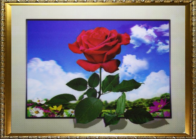 Картина 5D «Красная роза» 38*28см (1шт) цвет:14124