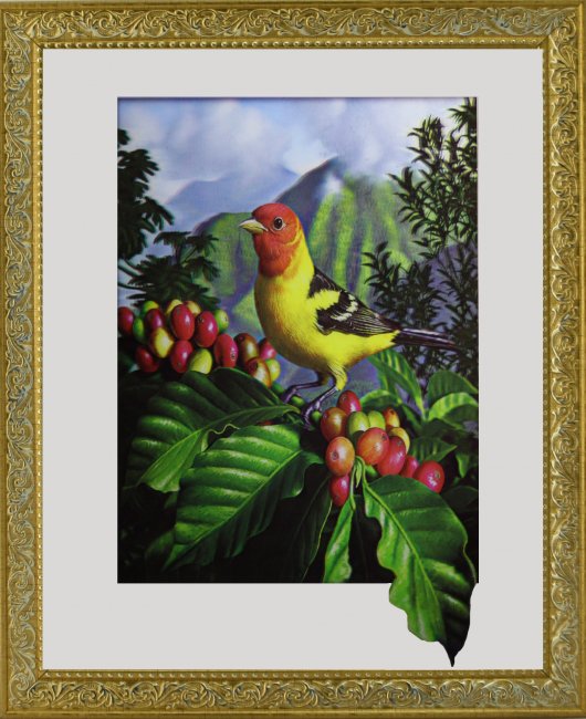 Картина 5D «Птичка на ветке» 38*38см (1шт) цвет:12553