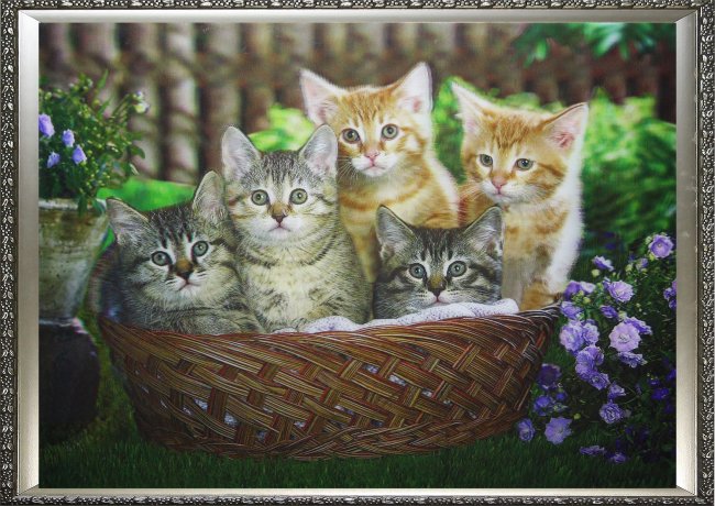 Картина 5D «Котята в корзине» 38*28см (1шт) цвет:14149