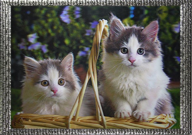 Картина 5D «Котята в корзинке» 38*28см (1шт) цвет:14175