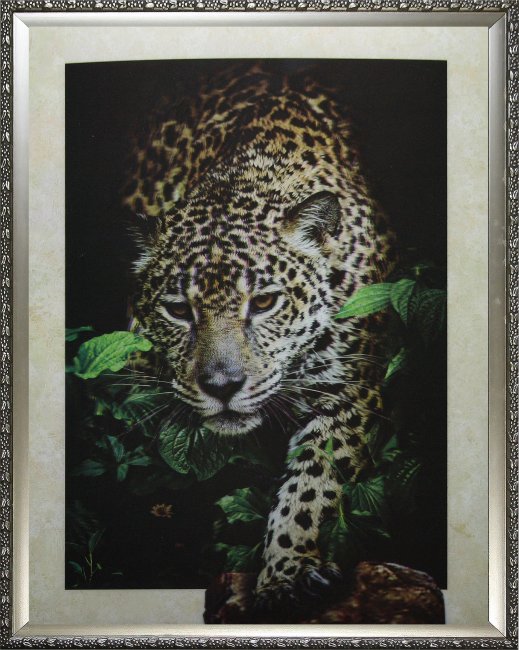 Картина 5D «Леопард» 38*28см (1шт) цвет:14296