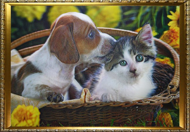 Картина 5D «Котенок и щенок в корзинке» (без рамки) 38*28см (1шт) цвет:14121Б