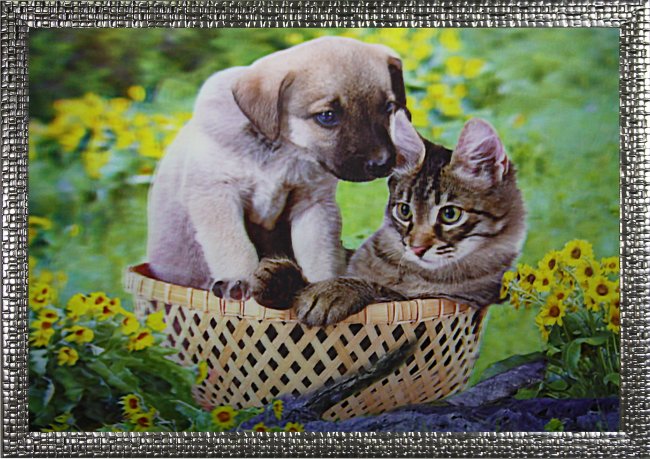 Картина 5D «Котик и щенок» (без рамки) 38*28см (1шт) цвет:14115Б