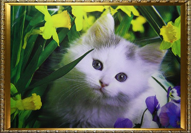 Картина 5D «Котенок в цветах» (без рамки) 38*28см (1шт) цвет:14167Б