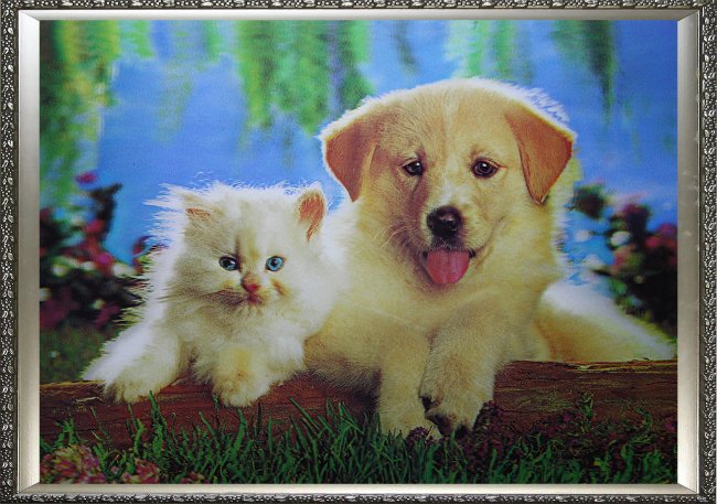 Картина 5D «Котенок и щенок»  (без рамки) 38*28см (1шт) цвет:14202Б