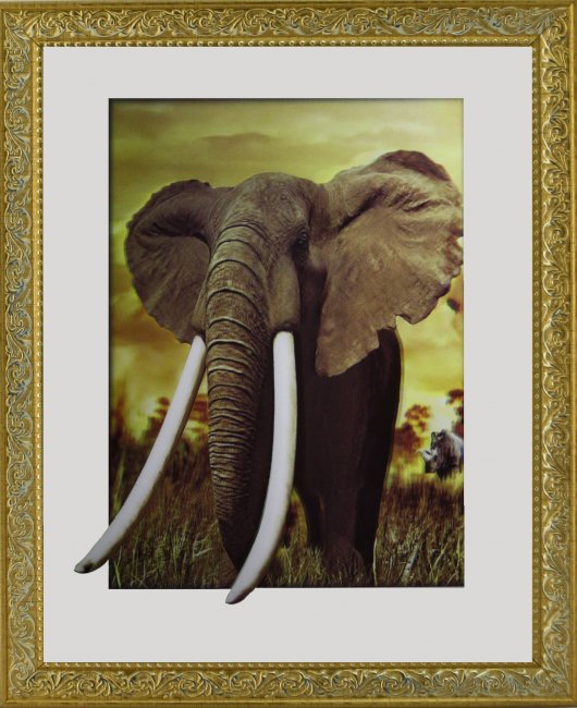 Картина 5D «Слон» 38*38см (1шт) цвет:12544