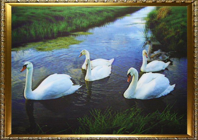 Картина 5D «Лебеди» 38*28см (1шт) цвет:14101
