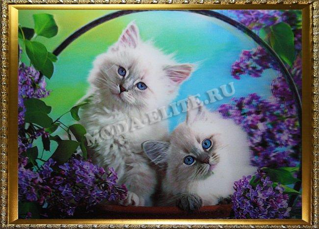 Картина 5D «Котята в сирени» 38*28см (1шт) цвет:14143