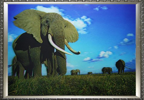 Картина 5D «Слоны» 38*28см (1шт) цвет:14174