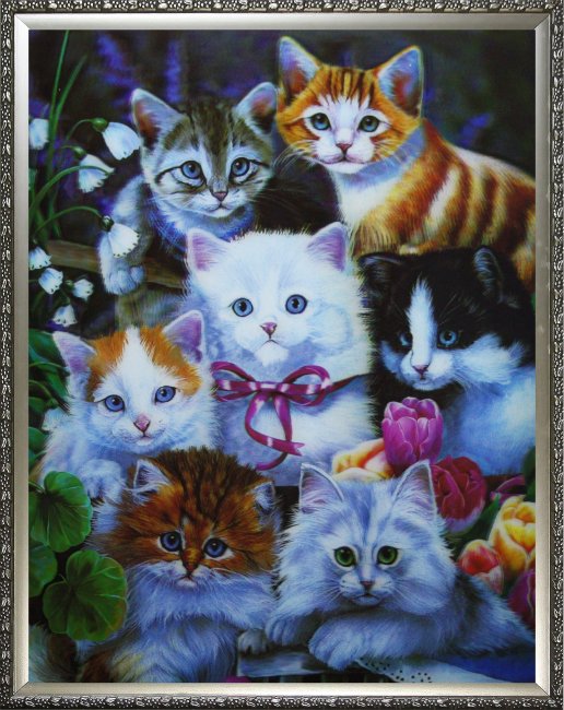 Картина 5D «Семеро котят» 28*38см (1шт) цвет:14179